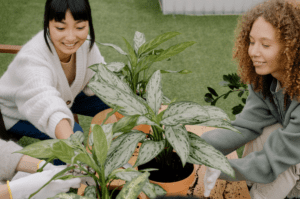 gardening
